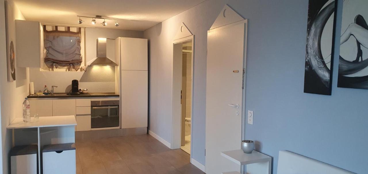 Ferienwohnung Am Bodensee Mit Seesicht Und Wellness Rorschacherberg Kültér fotó